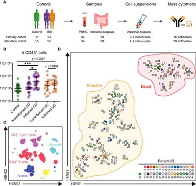 Identification of a Disease-Associated Network of Intestinal Immune Cells in Treatment-Naive Inflammatory Bowel Disease